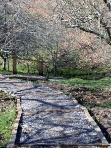 Path to cabin