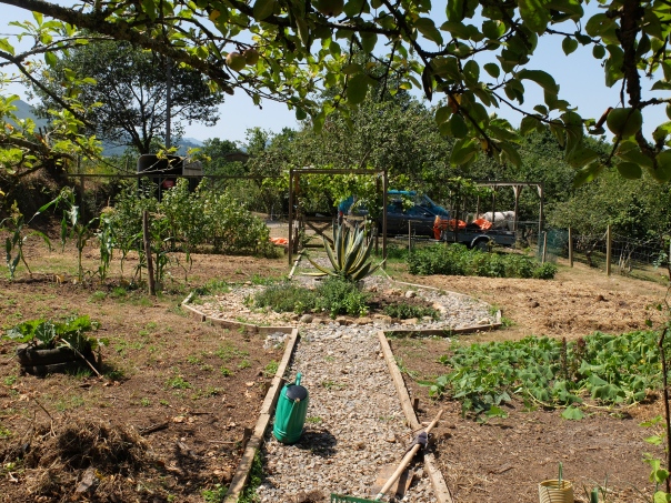 Vegetable garden cleared and ready to replant.